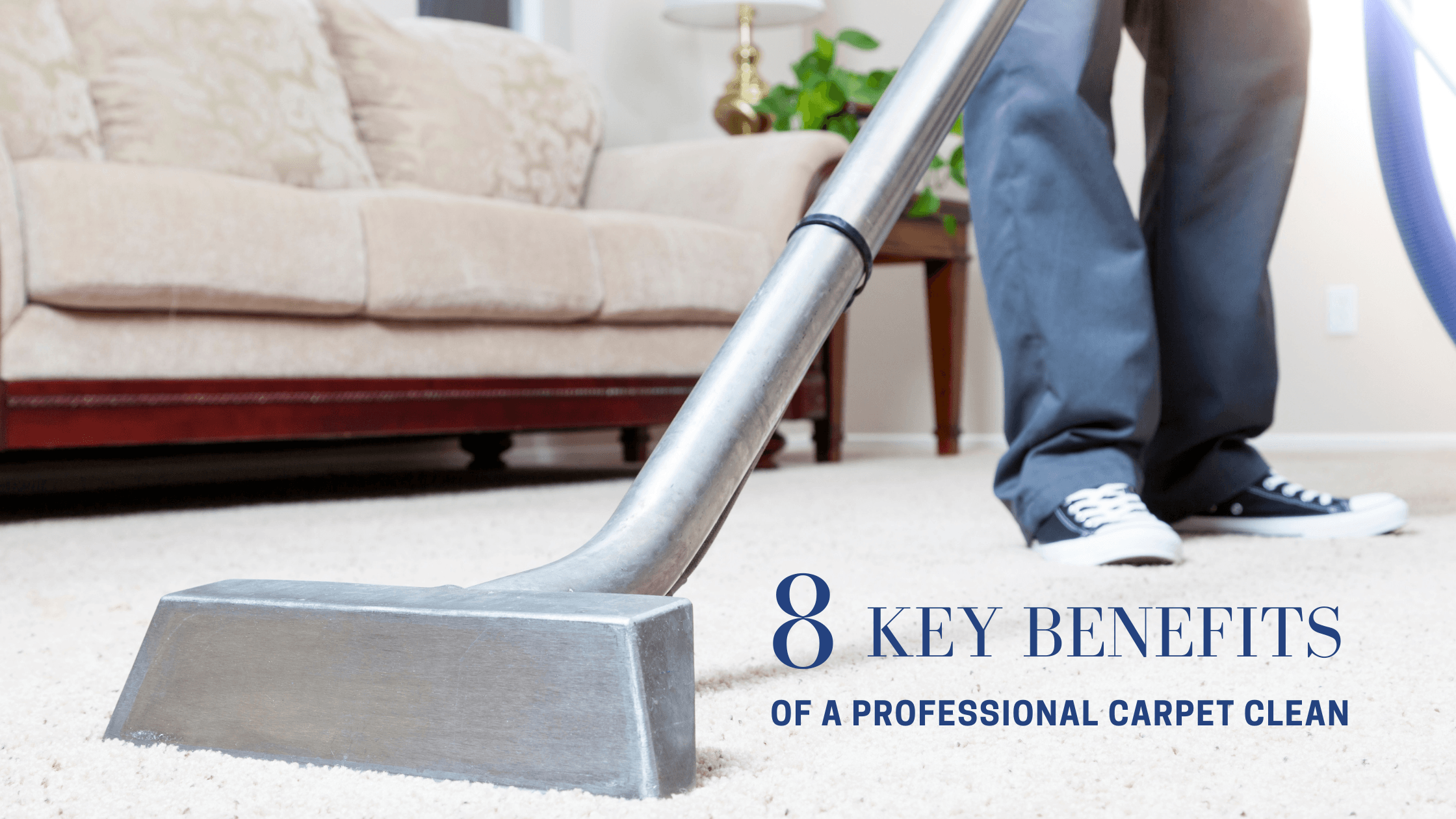The 8 Key Benefits of a Professional Carpet Clean 12