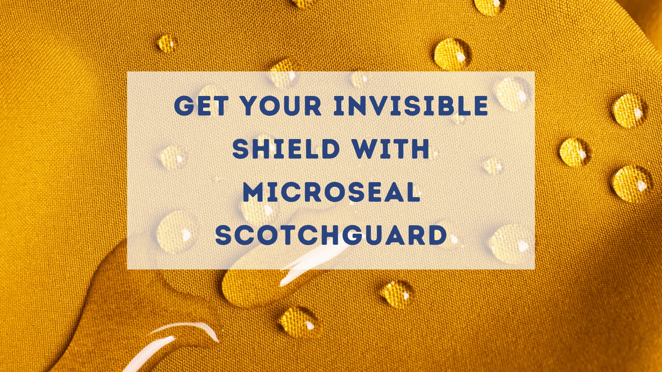Get your invisible shield with Citrus Clean Scotchguard by Microseal 1