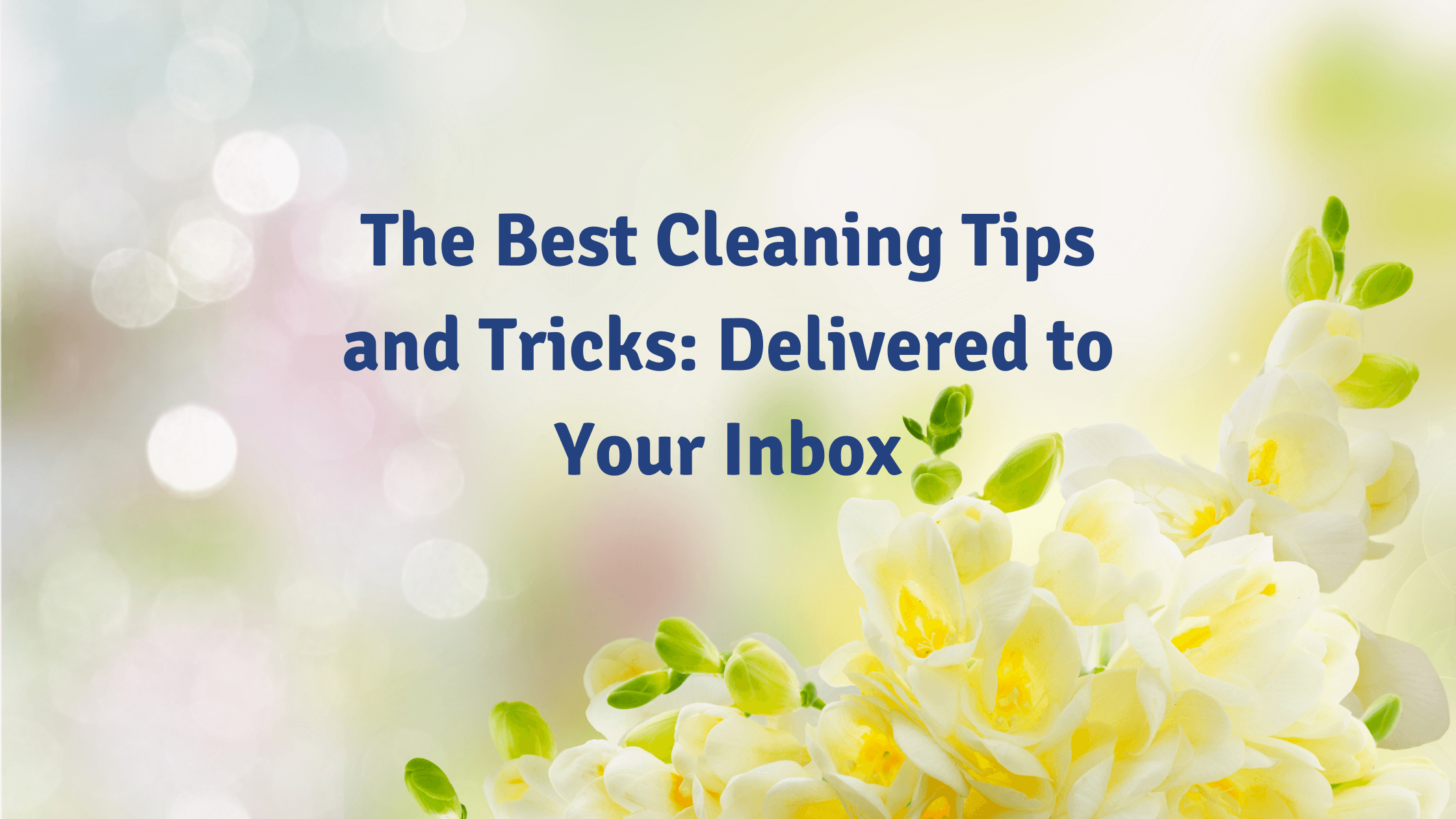 The Best Cleaning Tips and Tricks: Delivered to Your Inbox 1