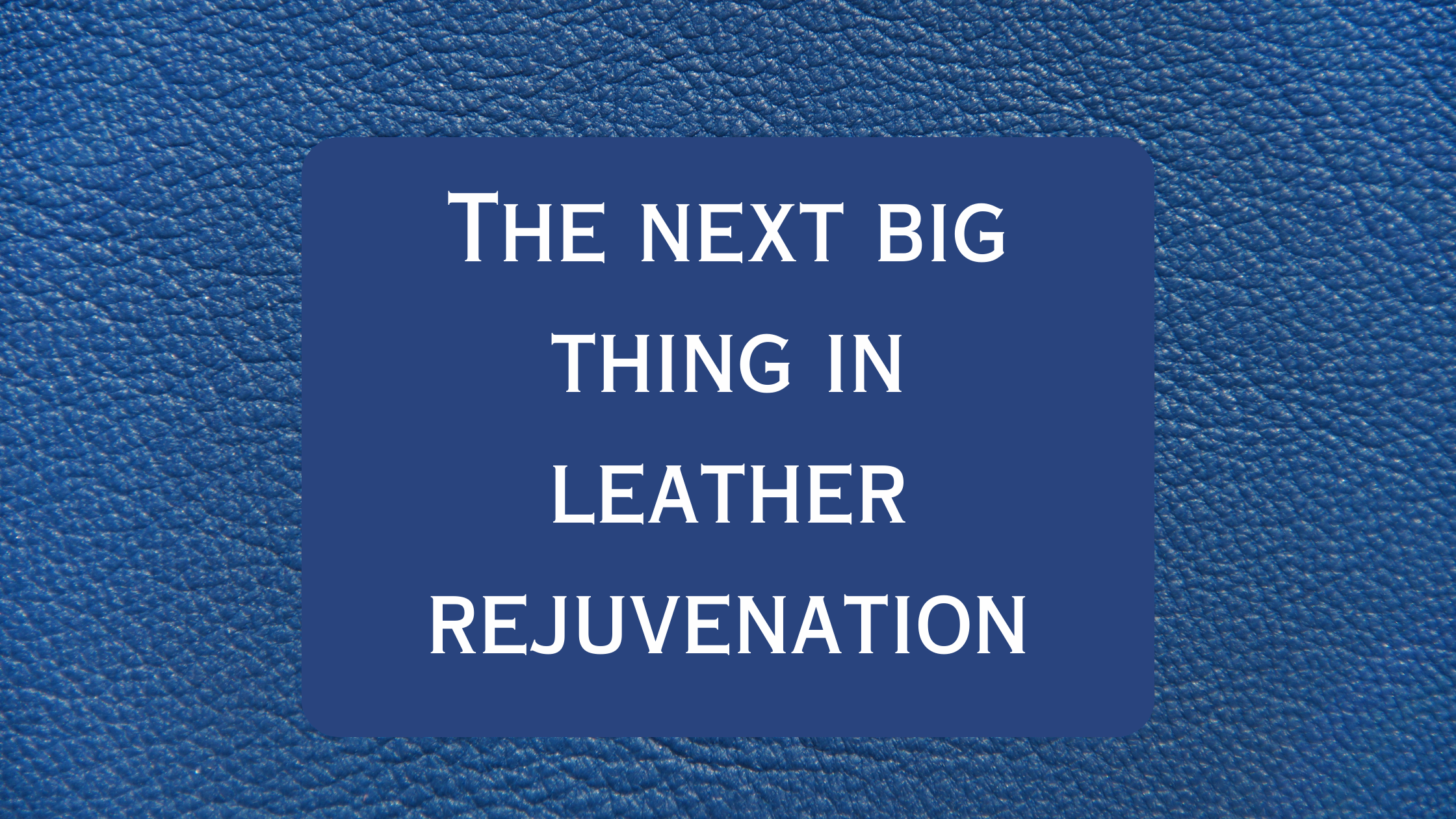 The next big thing in leather rejuvenation - Commercial Leather Cleaning Service 1