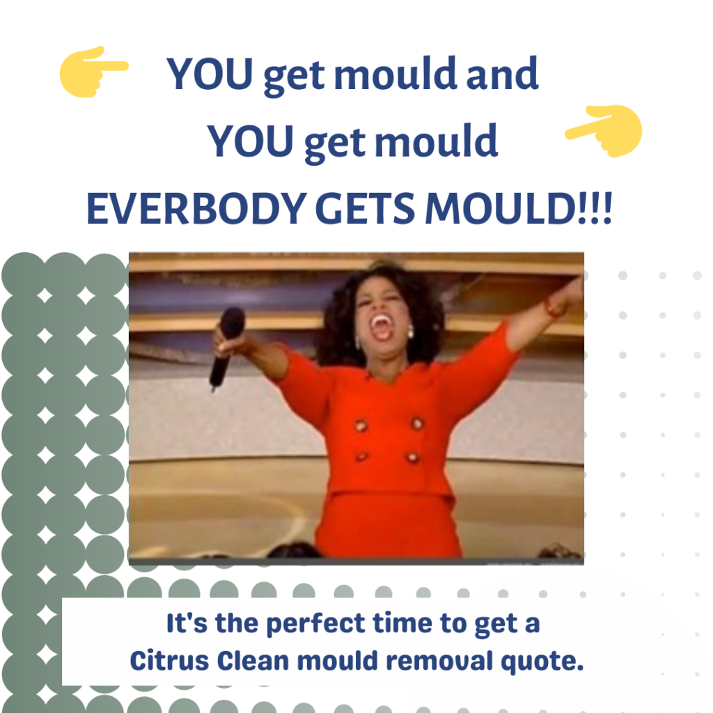 <strong>Eliminating Mould - the other ‘F-word’</strong> 2